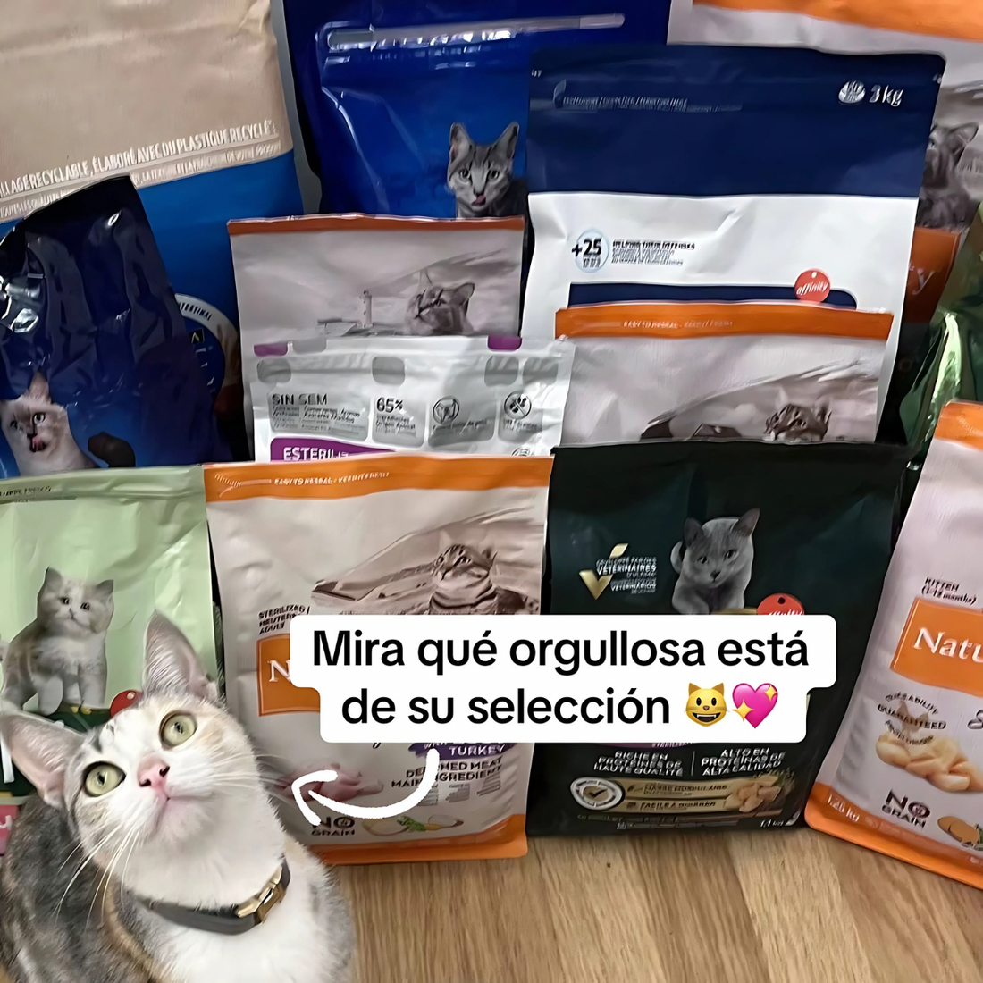 Cómo aprovechar al máximo las muestras de comida para tu gato exigente