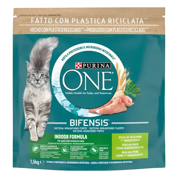 Pavo, Bifensis, Gato de Interior