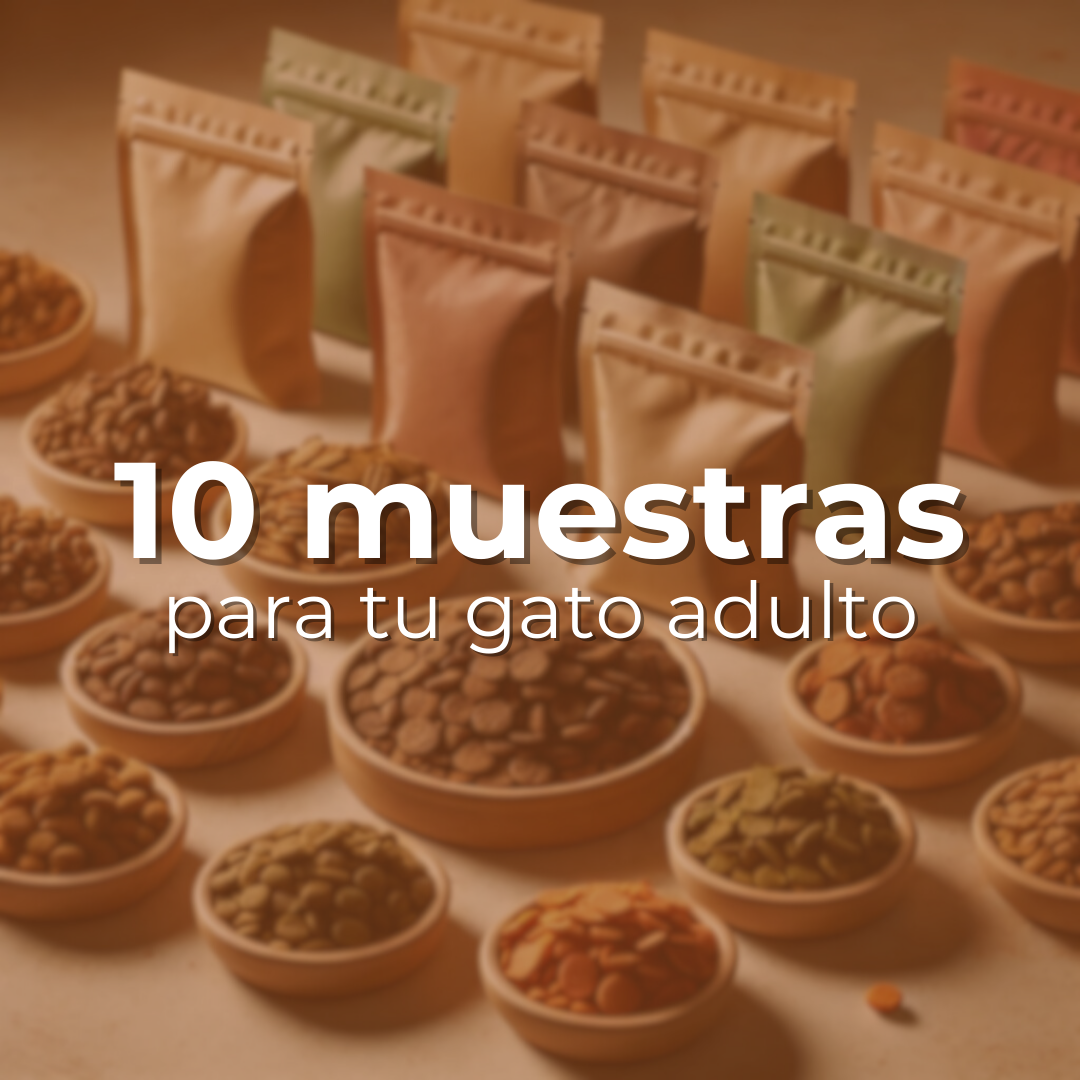 Explorador de Sabores - 10 muestras