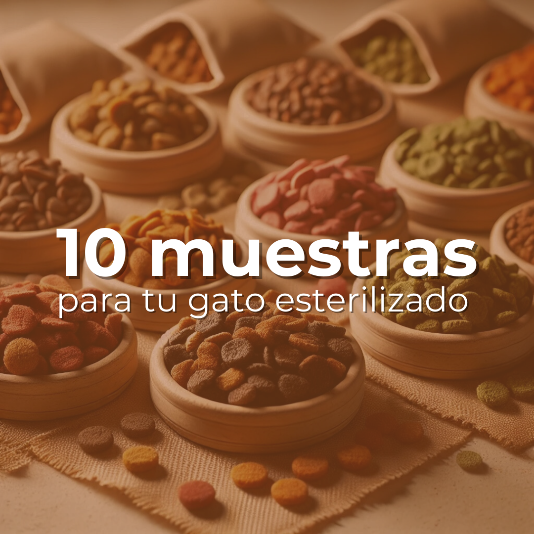 Selección Especial para Gatos Esterilizados - 10 Muestras