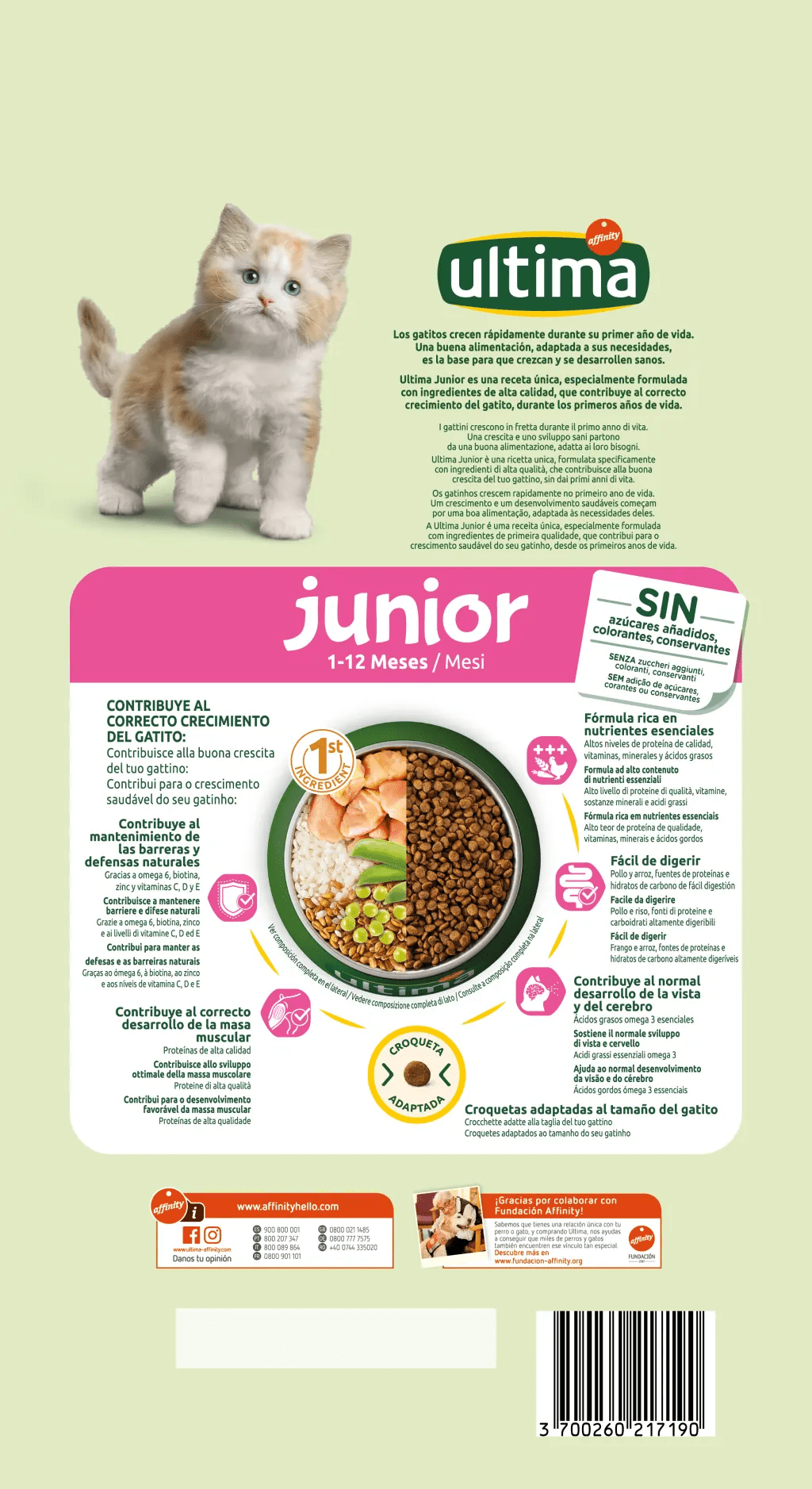 Pollo, Junior
